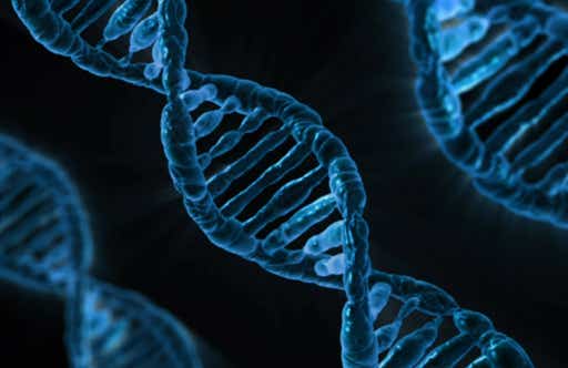Doppelhelix der DNA
